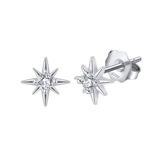 925 Sterling Silver charming stud Earrings for her